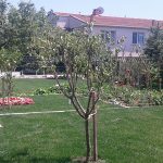 Büyükçekmece Villa Project image 7