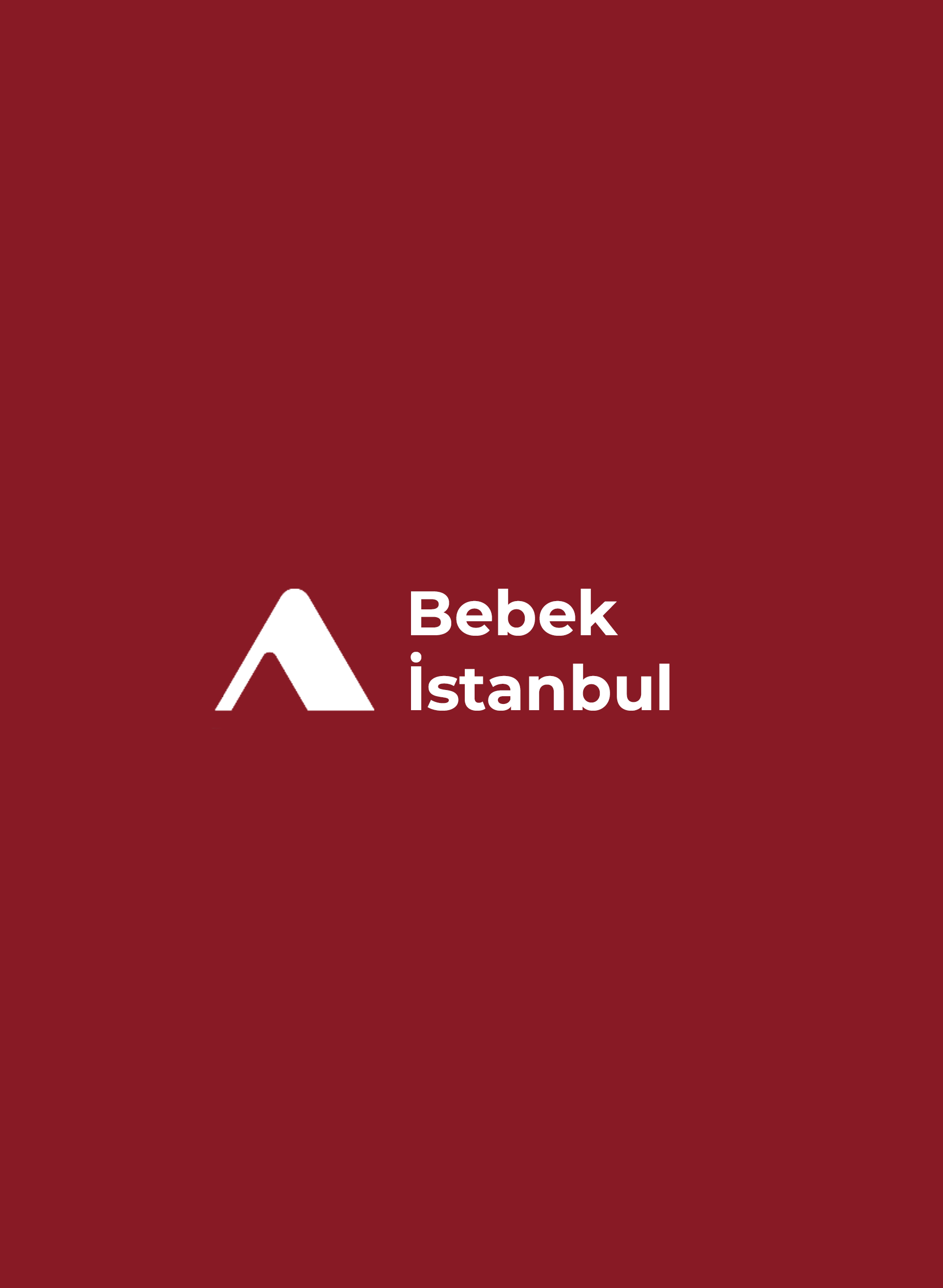 Bebek Apartment Renovation