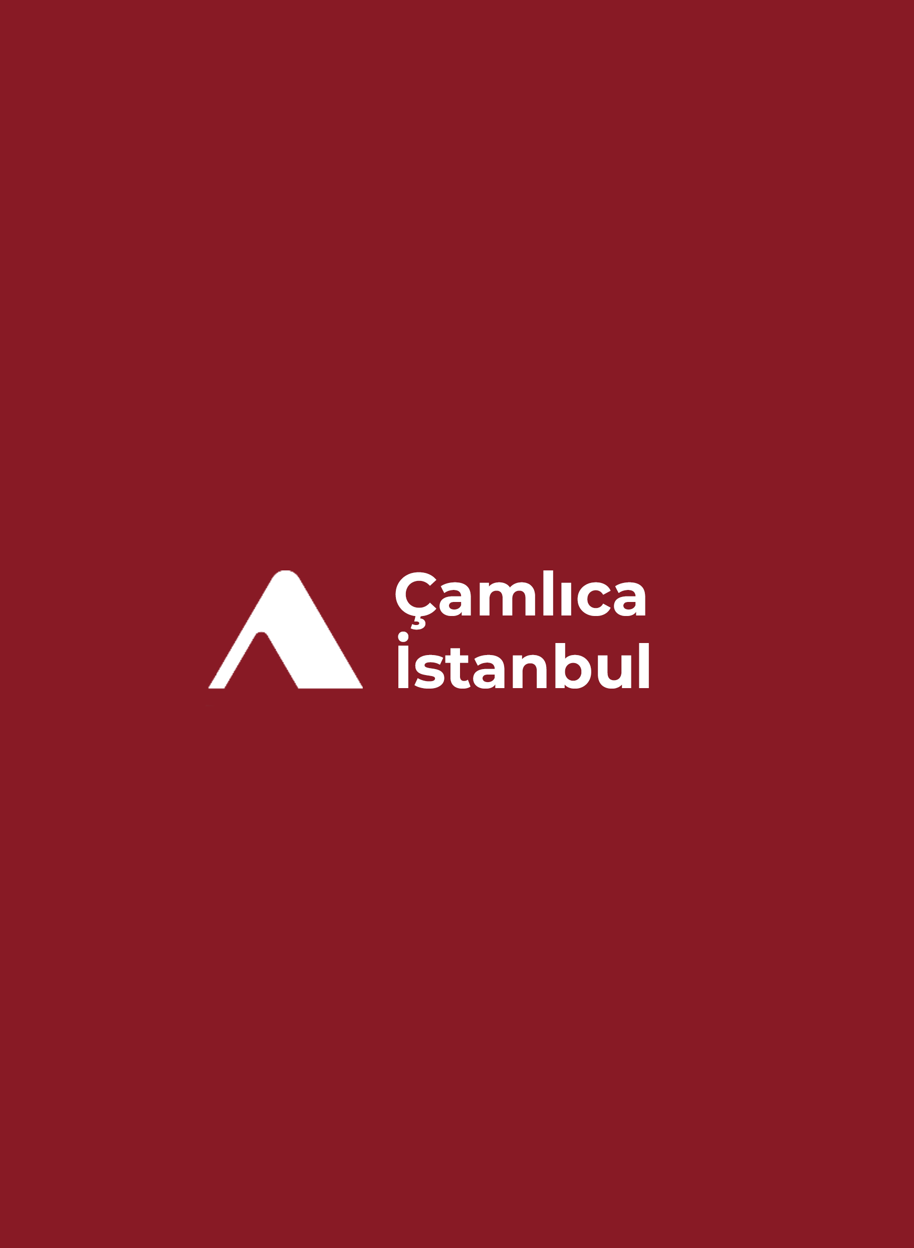 Çamlıca Villas Renovation Project